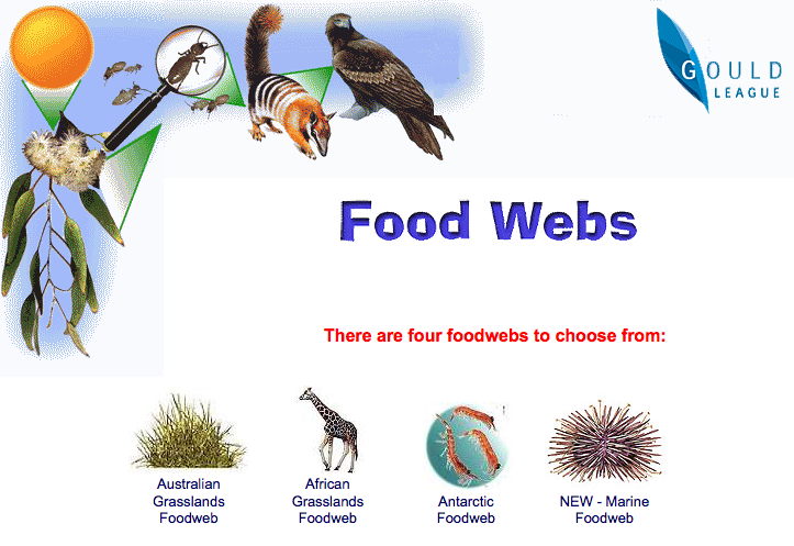 animal food chains for kids. Food chains and other